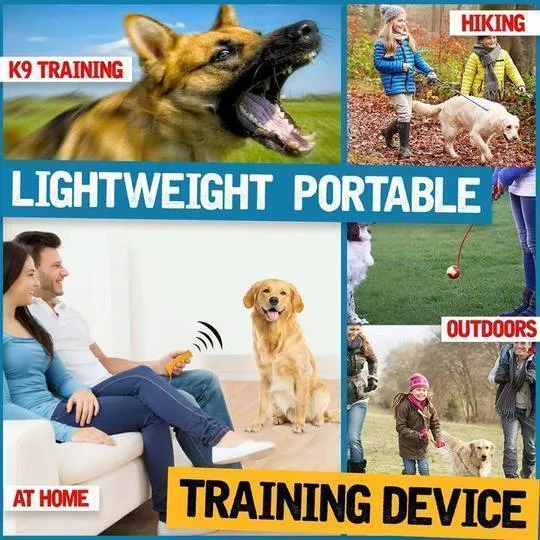 3-in-1 Pet Training Devices