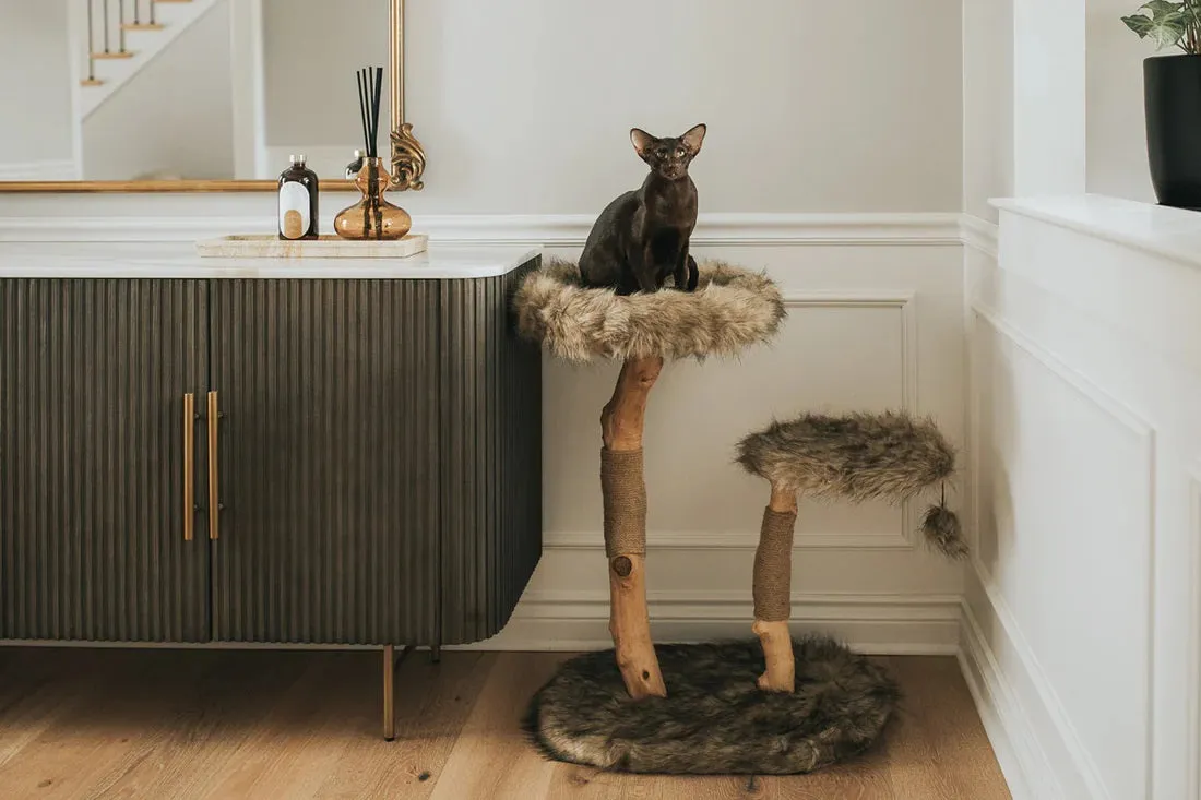 RIZZO Cat Tree